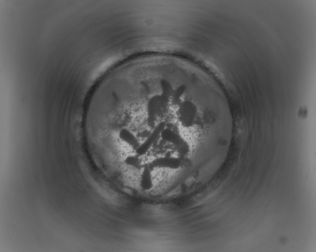 X0000092010679200709271529