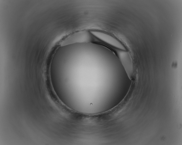 X0000092010680200709271529