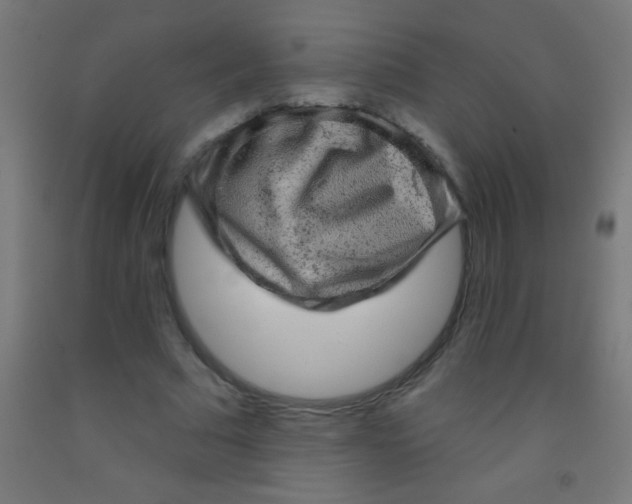 X0000092010681200709271529