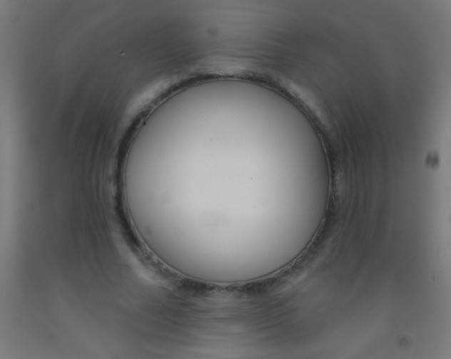 X0000092010682200709271529