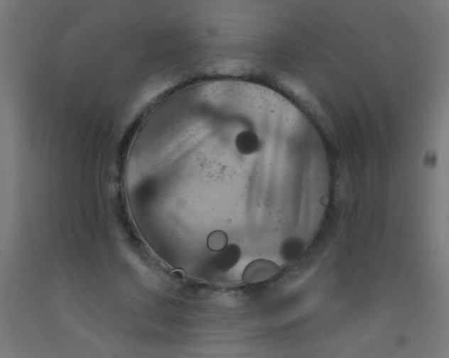 X0000092010683200709271529