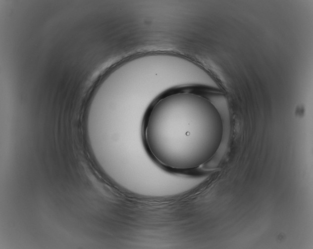 X0000092010684200709271529