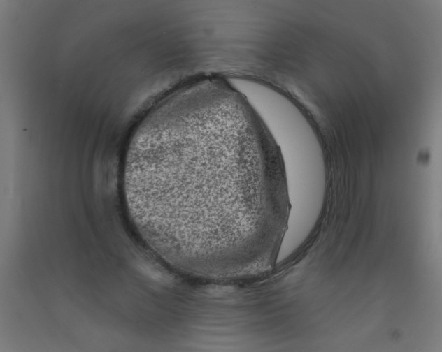 X0000092010685200709271529