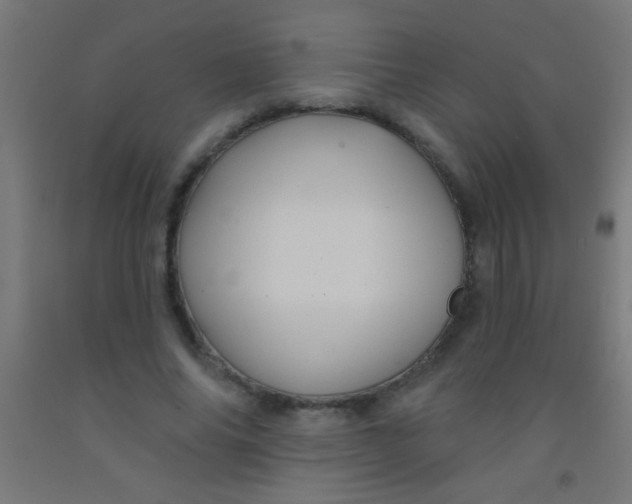 X0000092010686200709271529