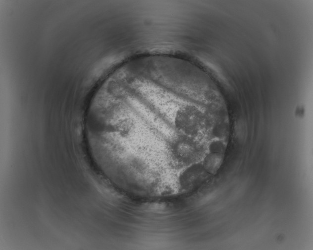 X0000092010687200709271529