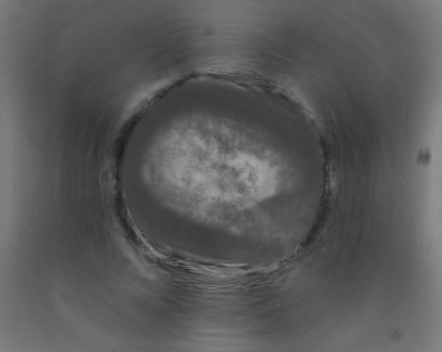 X0000092010688200709271529