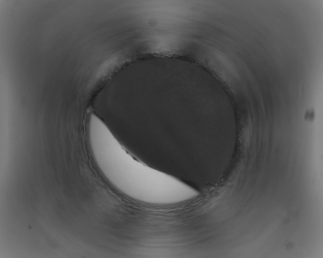 X0000092010689200709271529