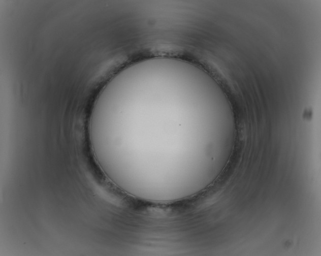 X0000092010690200709271529