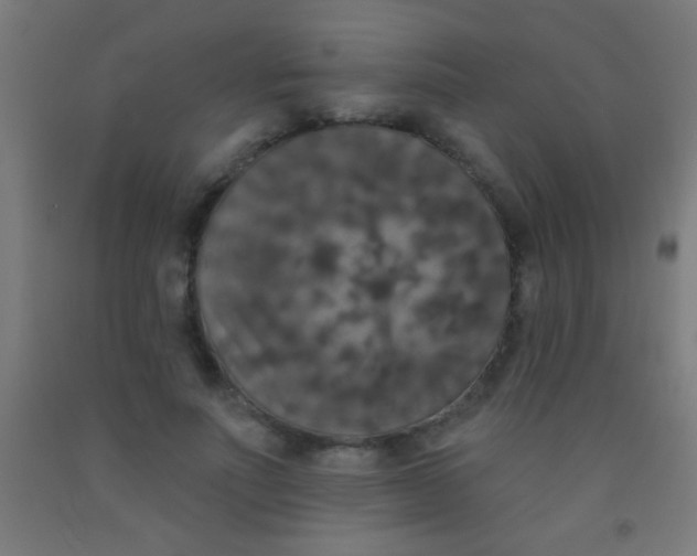 X0000092010691200709271529