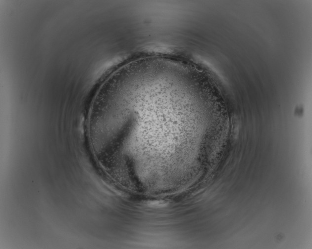 X0000092010692200709271529