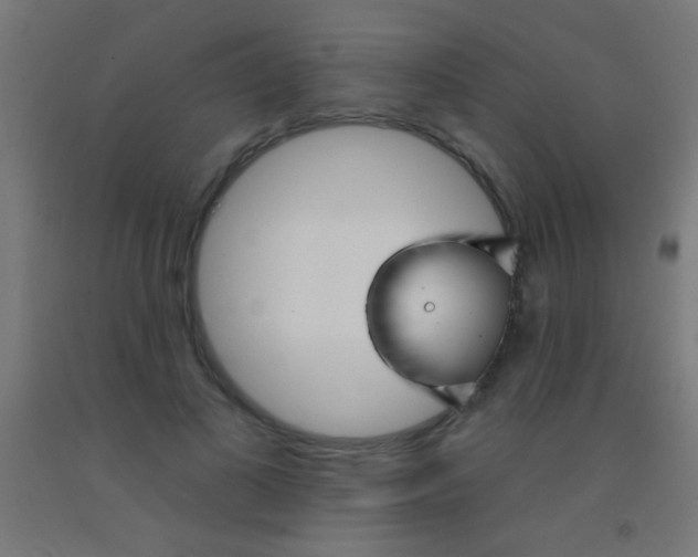 X0000092010693200709271529