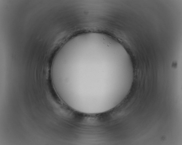 X0000092010694200709271529