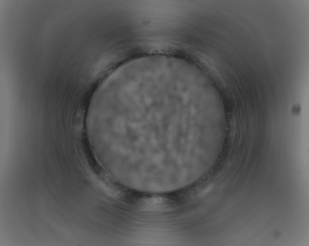 X0000092010695200709271529