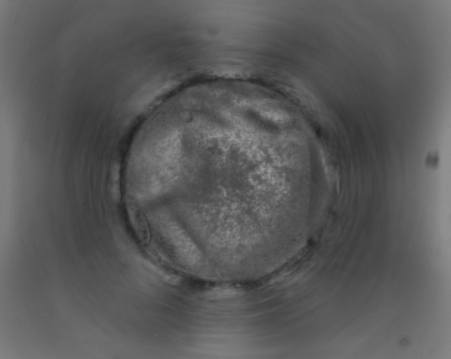 X0000092010696200709271529