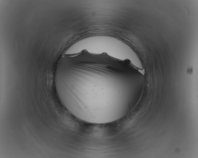 X0000092010697200709271529