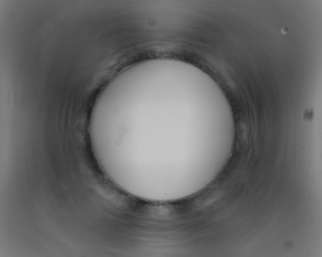 X0000092010698200709271529