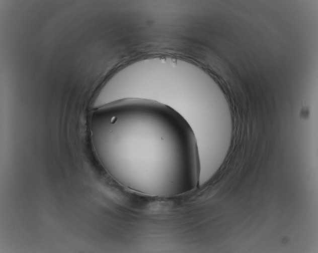 X0000092010700200709271529