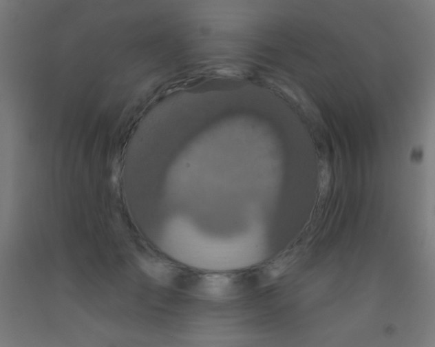 X0000092010701200709271529