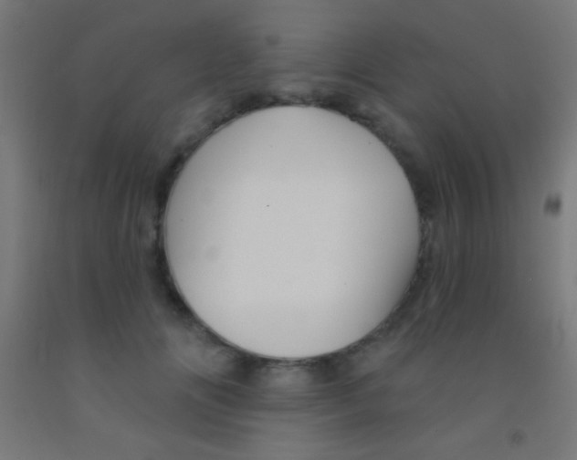 X0000092010702200709271529