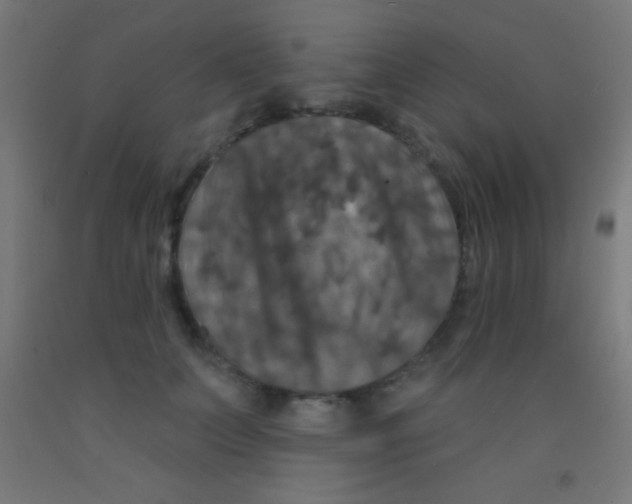 X0000092010703200709271529