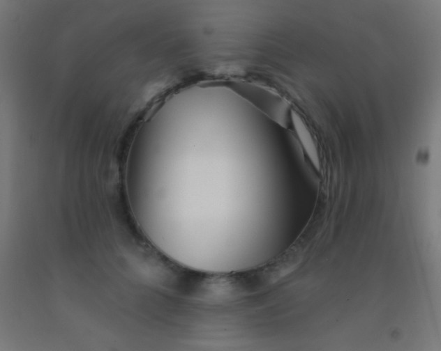 X0000092010704200709271529