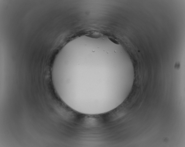 X0000092010706200709271529