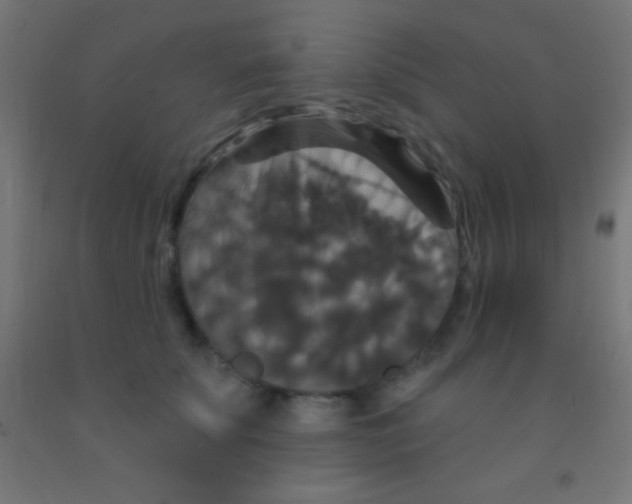 X0000092010707200709271529