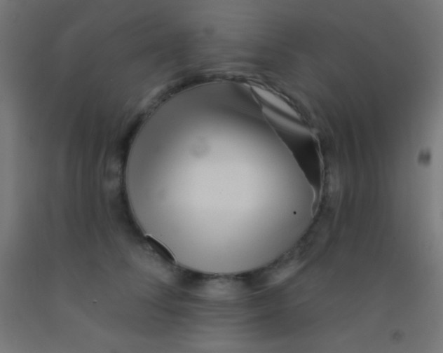 X0000092010708200709271529