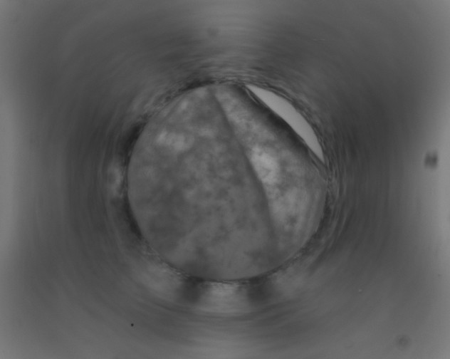 X0000092010709200709271529