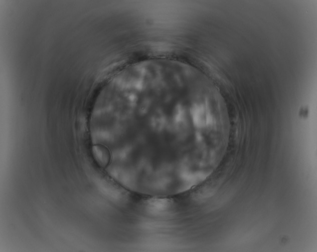 X0000092010711200709271529