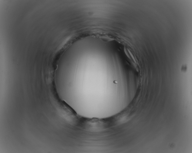 X0000092010712200709271529