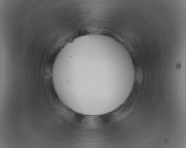 X0000092010713200709271529