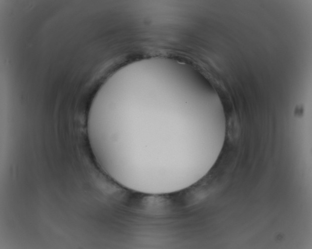 X0000092010714200709271529