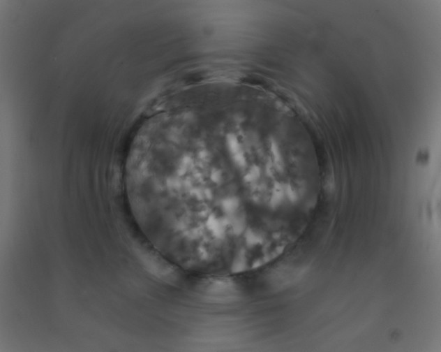 X0000092010715200709271529