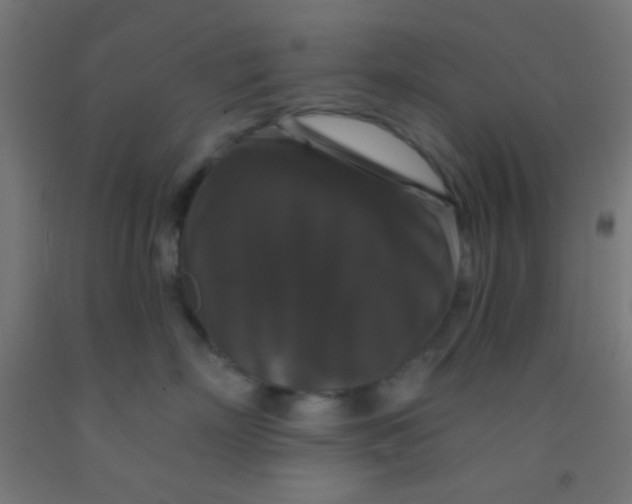 X0000092010718200709271529