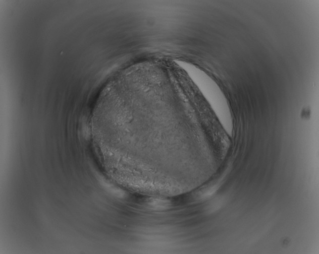 X0000092010719200709271529