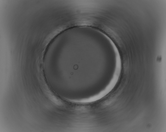 X0000092010721200709271528