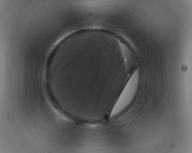 X0000092010722200709271528