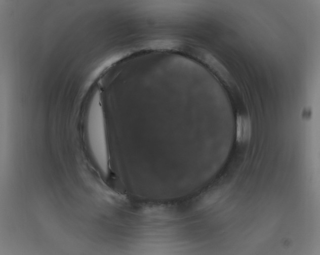 X0000092010723200709271528