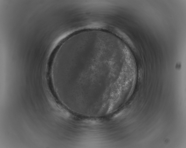 X0000092010724200709271528