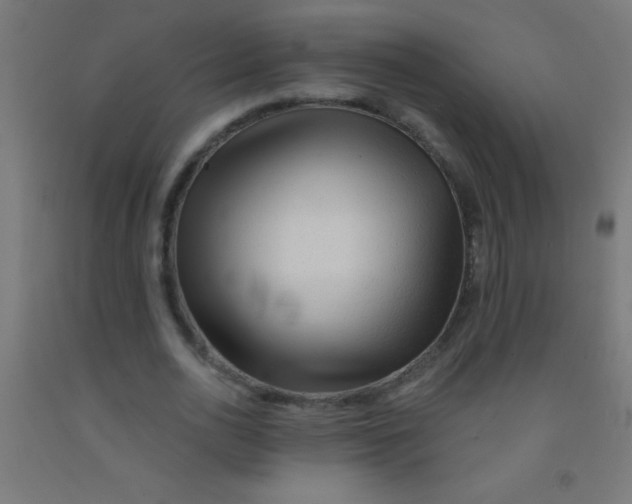 X0000092010726200709271528