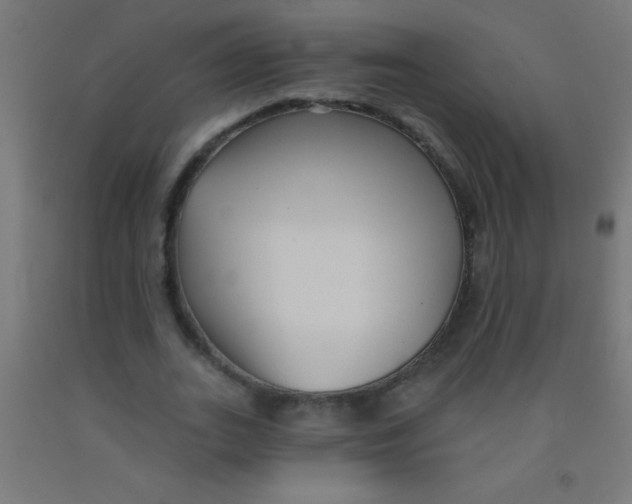 X0000092010727200709271528