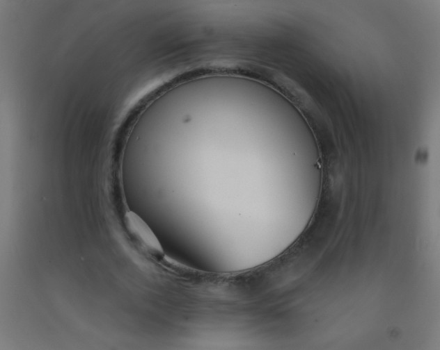 X0000092010728200709271528