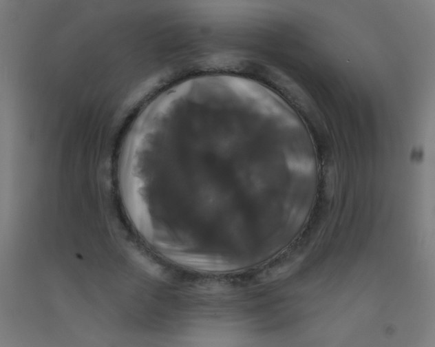 X0000092010729200709271528