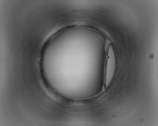 X0000092010730200709271528