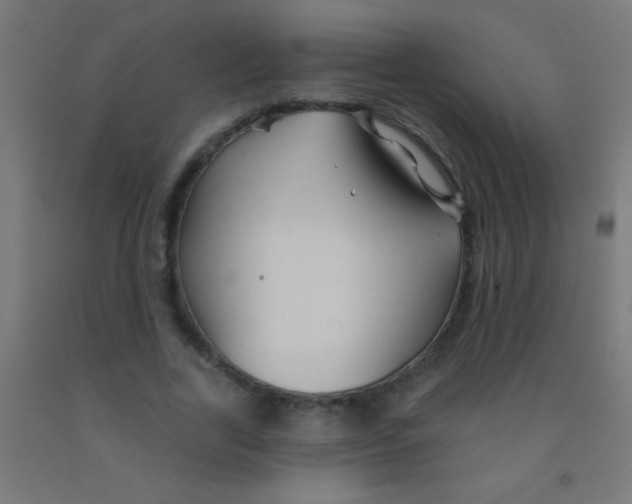 X0000092010731200709271528