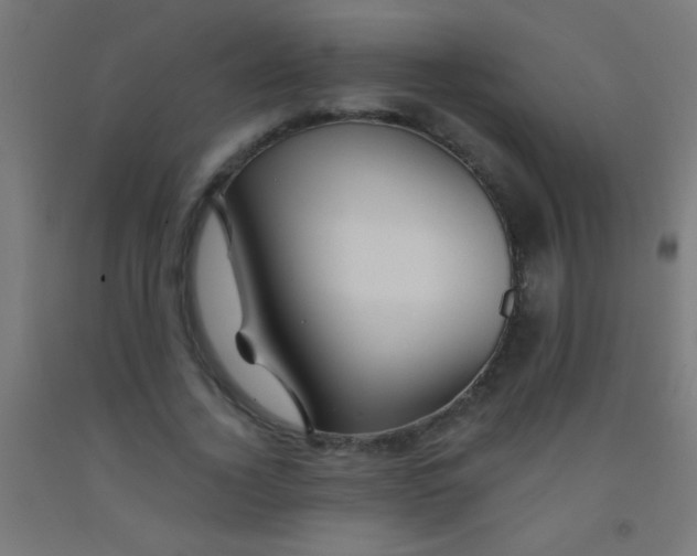 X0000092010732200709271528