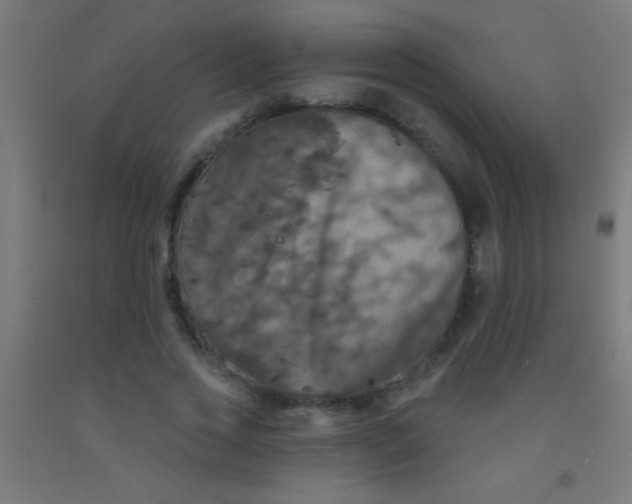 X0000092010733200709271528