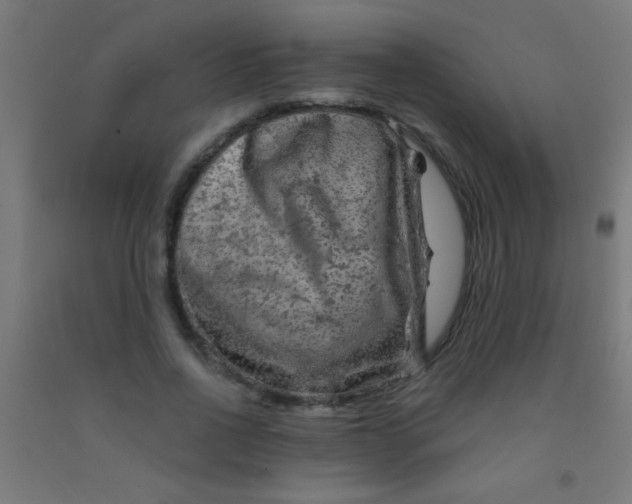 X0000092010734200709271528