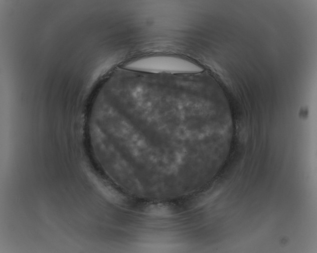 X0000092010735200709271528